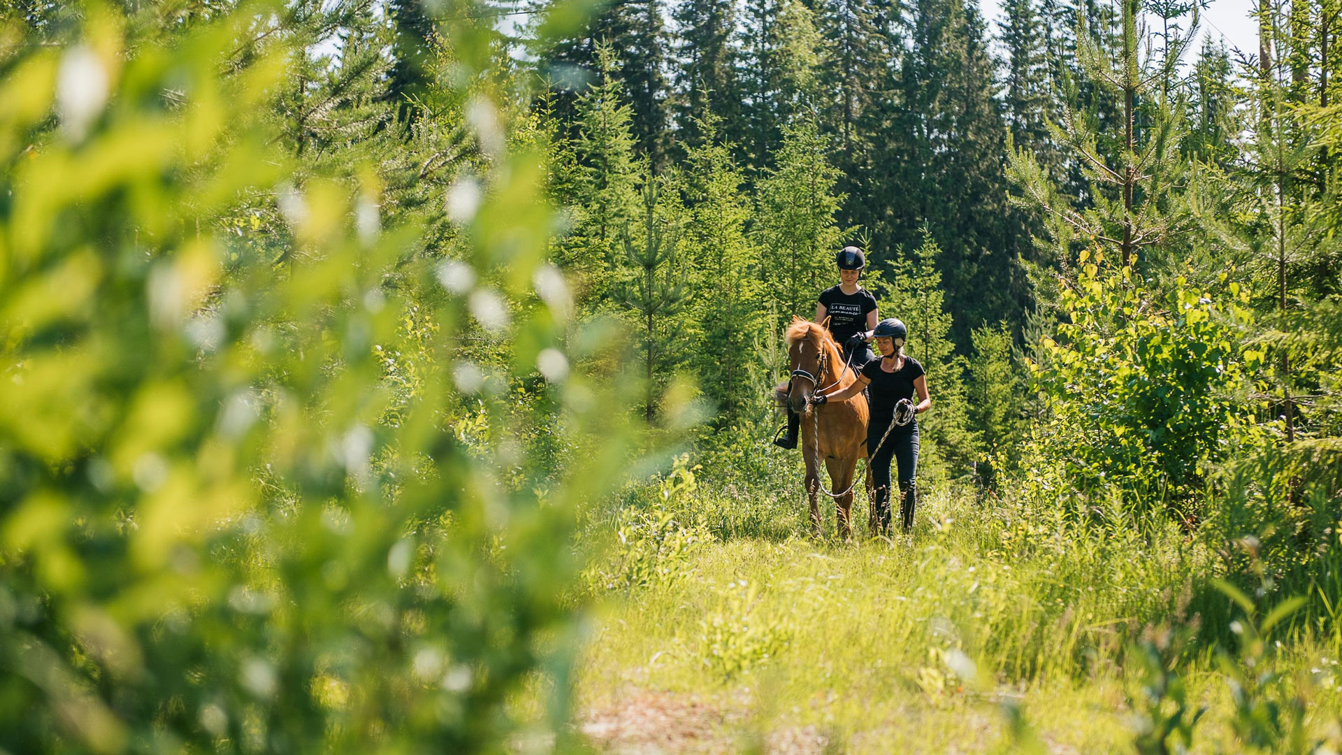Hevostalouden ammattitutkinto, hevospalvelujentuottaja-opiskelija taluttaa maastossa hevosta, jonka selässä on asiakas.