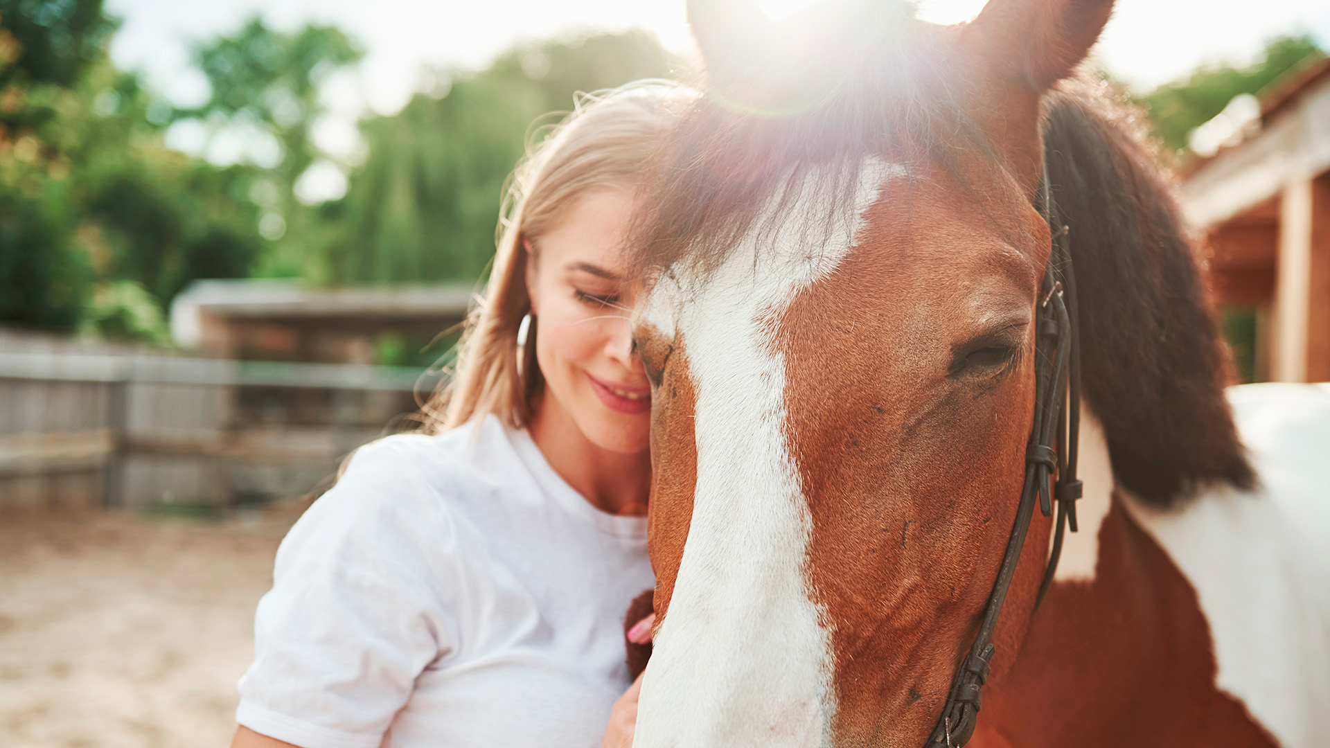 Eläinavusteisen hyvinvointipalvelun toteuttamisen koulutuksen suorittanut henkilö seisoo hevosen vieressä.